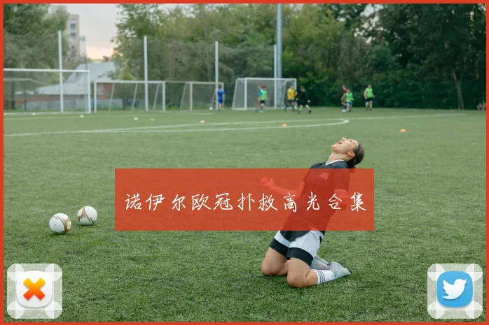 诺伊尔欧冠扑救高光合集