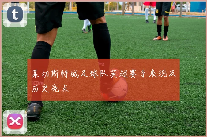 莱切斯特城足球队英超赛季表现及历史亮点